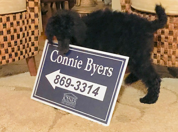 Connie Byers 804-869-3314